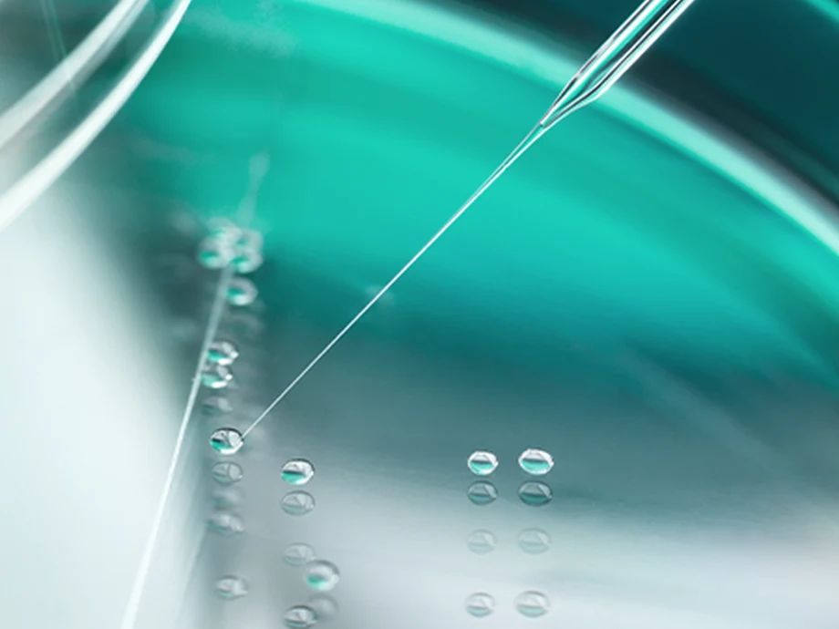 NK Cell Therapy treatment information