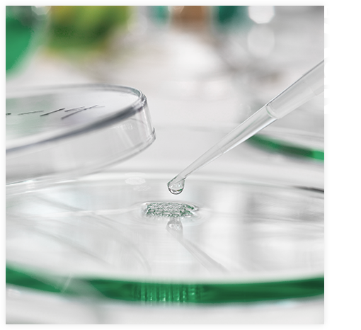 About the Miracell stem cell procedure